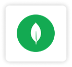 MongoDB 
