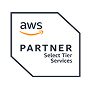 AWS Partner