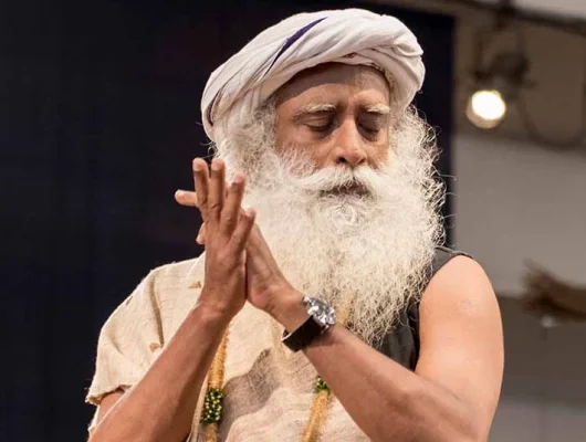 healthcare portfolio