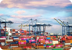 Logistics & Transportation