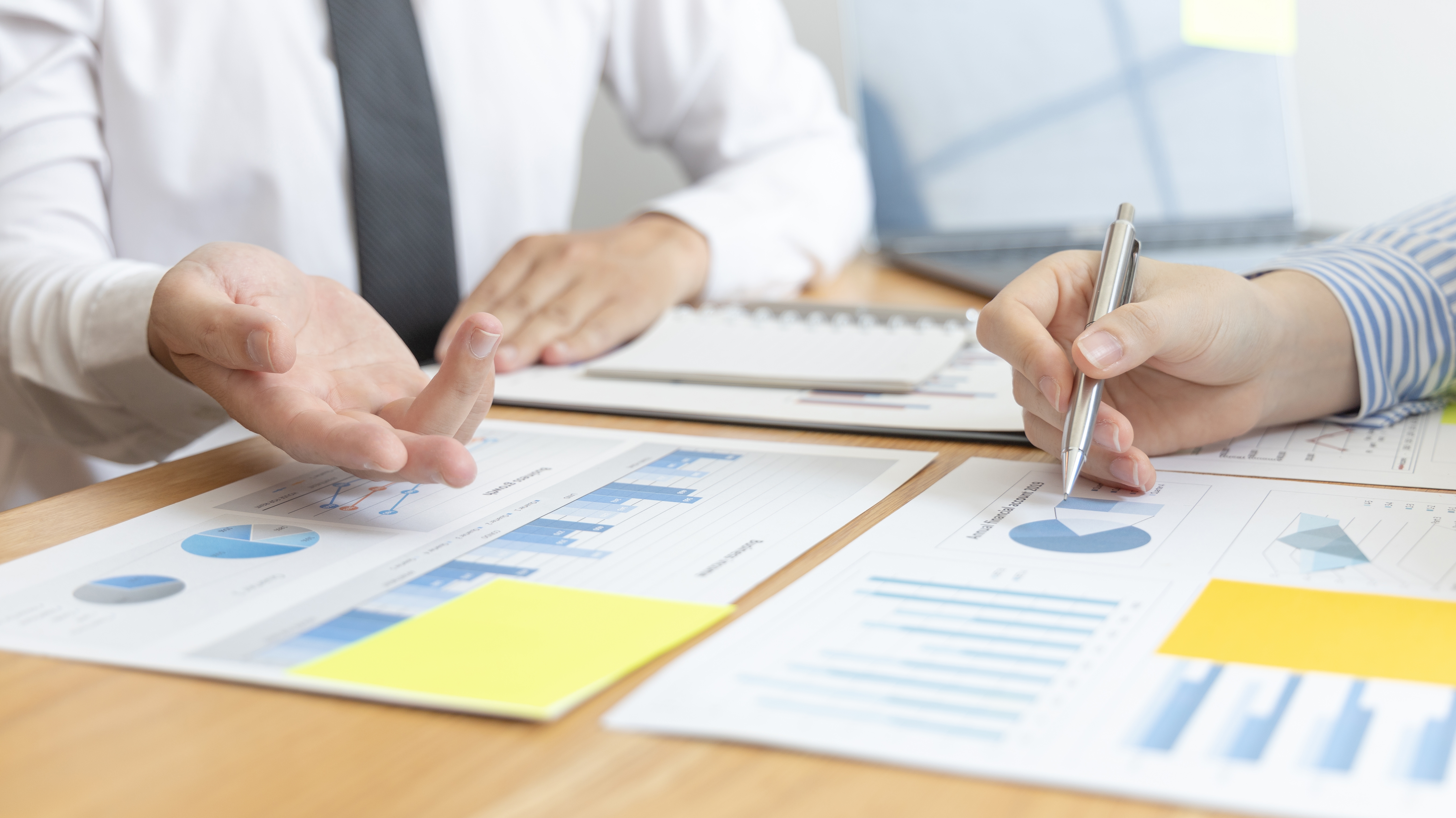 SAP ERP consultation