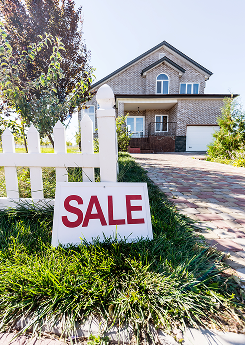 Real Estate 
