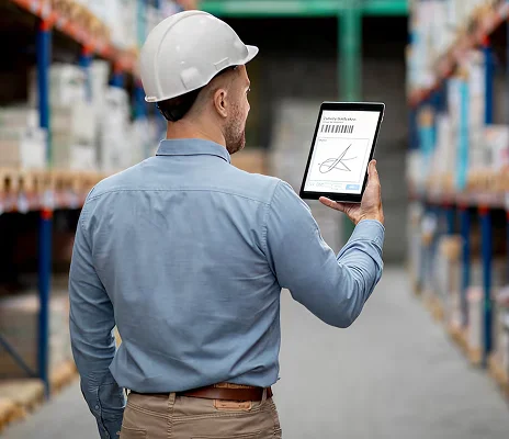 supply chain