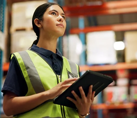 supply chain