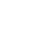 Testing Execution 